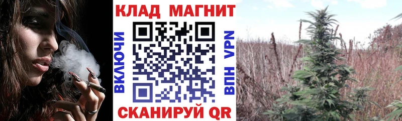 Купить наркоту Черногорск Каннабис  СОЛЬ  Галлюциногенные грибы  Меф  ГАШ 