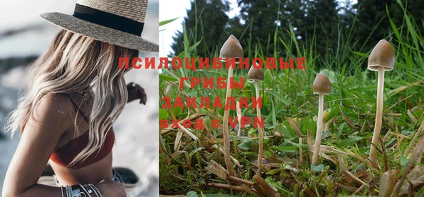 синтетический гашиш Белокуриха