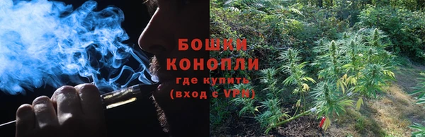 молекула духа Белоозёрский