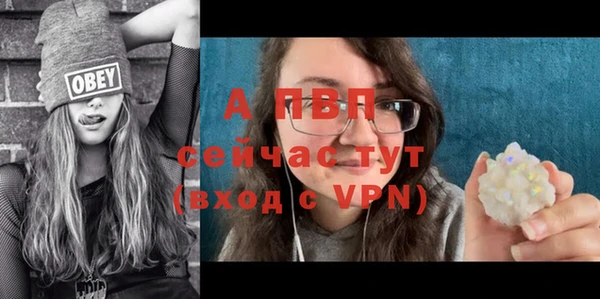 молекула духа Белоозёрский