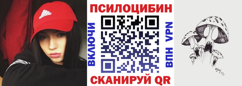 Псилоцибиновые грибы Psilocybe  Черногорск 